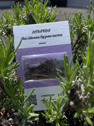 Насіння лаванди 1 г